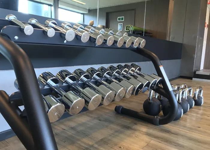 Radisson Blu Amsterdam Airport, Schiphol Hotel 4*